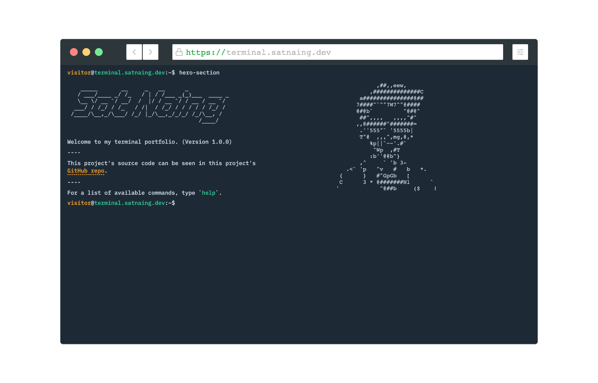 How Do I Develop My Terminal Portfolio Website with React